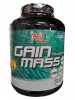 ALLSPORTS LABS Pro Mass Plus 1000g/4000g - eper, 4000g