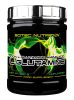 Scitec Nutrition L-Glutamine (300 gr.)