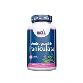 Haya Labs - Andrographis Paniculata 400mg / 60 kapszula
