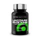 Scitec Nutrition Lactase Enzyme (100 kap.)