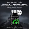 Scitec Nutrition Shilajit (60 kapsz.)