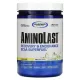 GASPARI NUTRITION Aminolast 420g - fruit punch