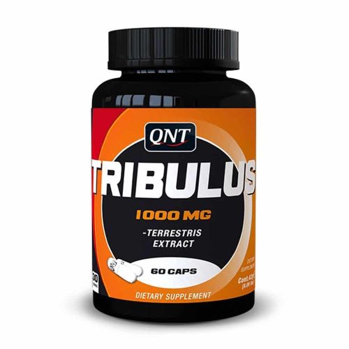 QNT L-GLUTAMINE 6000 PURE - 500 g